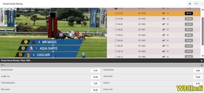 การแข่งขันม้าเดิมพันสําหรับมือใหม่